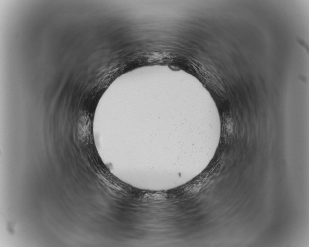 X0000097800914200804110920