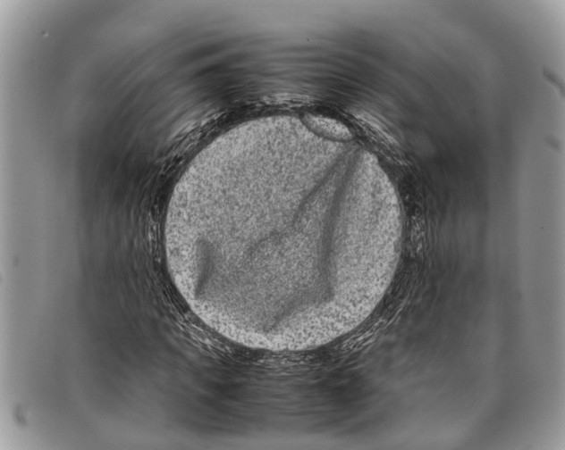 X0000097800917200804110920