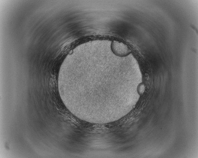 X0000097800918200804110920