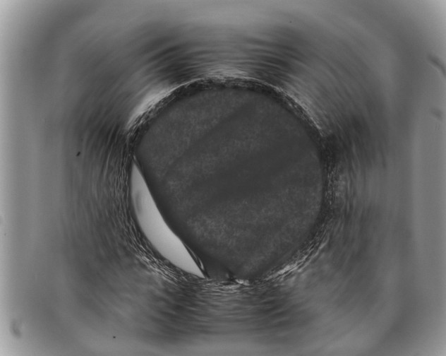 X0000097800919200804110920