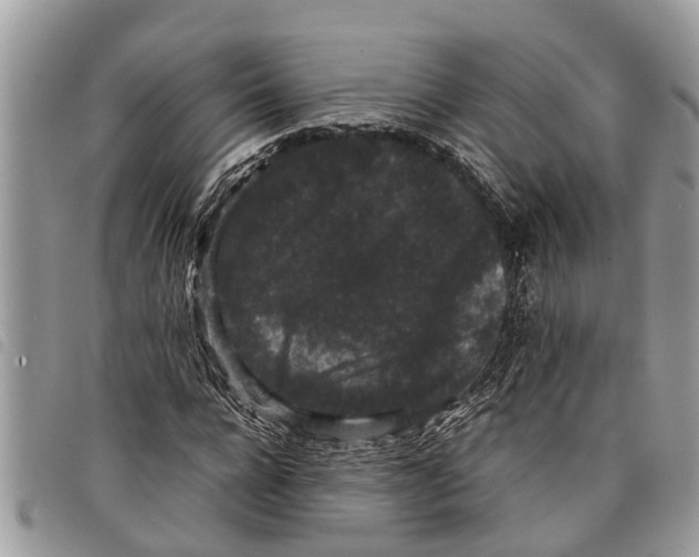 X0000097800920200804110920