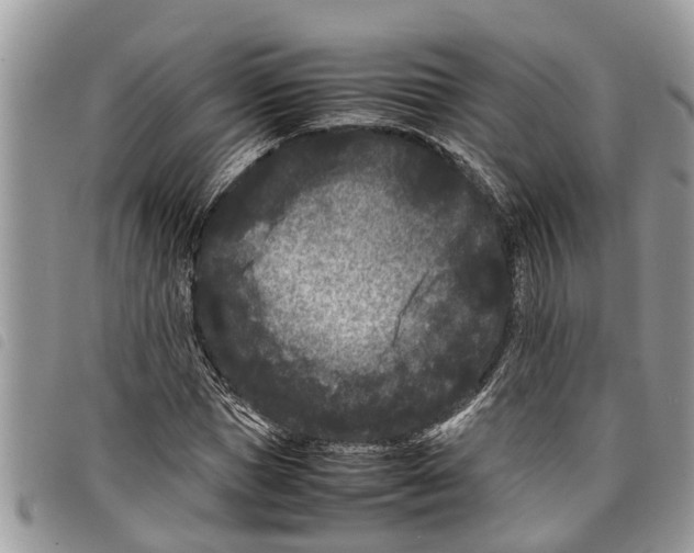 X0000097800921200804110920