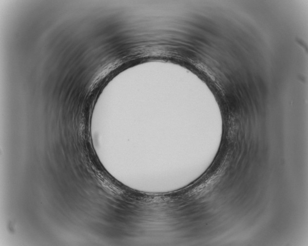 X0000097800922200804110920