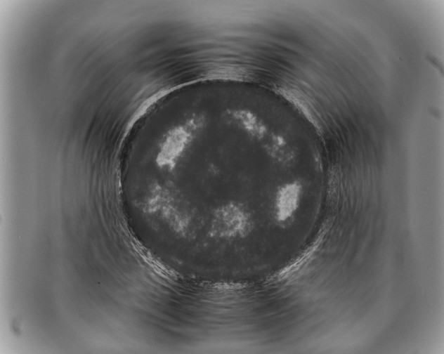 X0000097800923200804110920