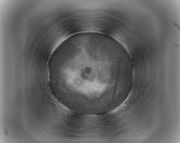 X0000097800925200804110920