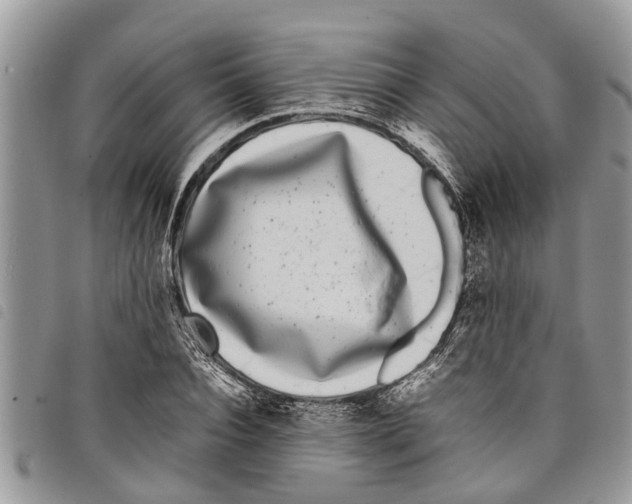 X0000097800928200804110920