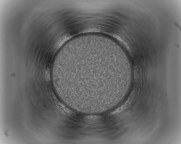 X0000097800929200804110920