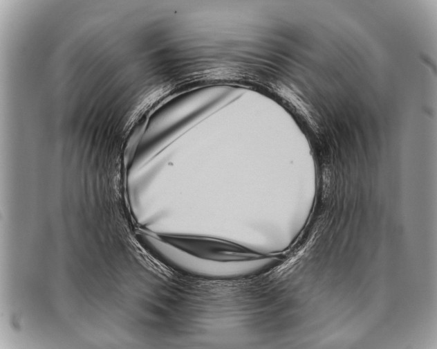 X0000097800930200804110920