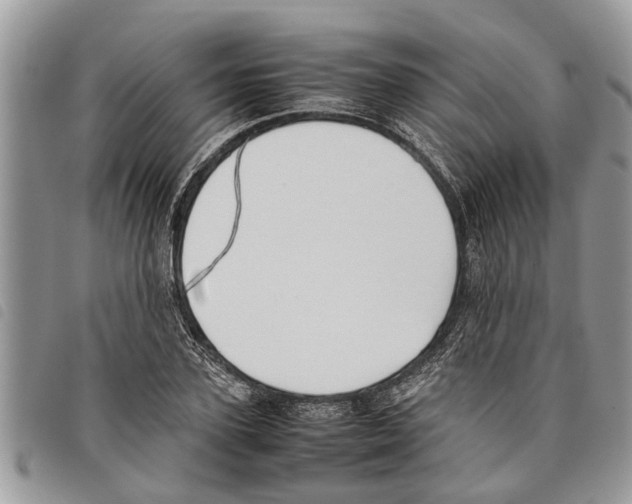 X0000097800931200804110920