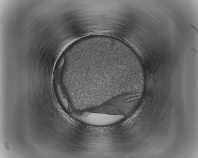 X0000097800932200804110920