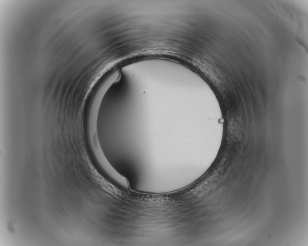 X0000097800934200804110920