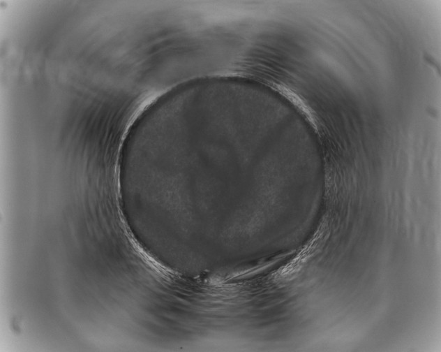 X0000097800935200804110920