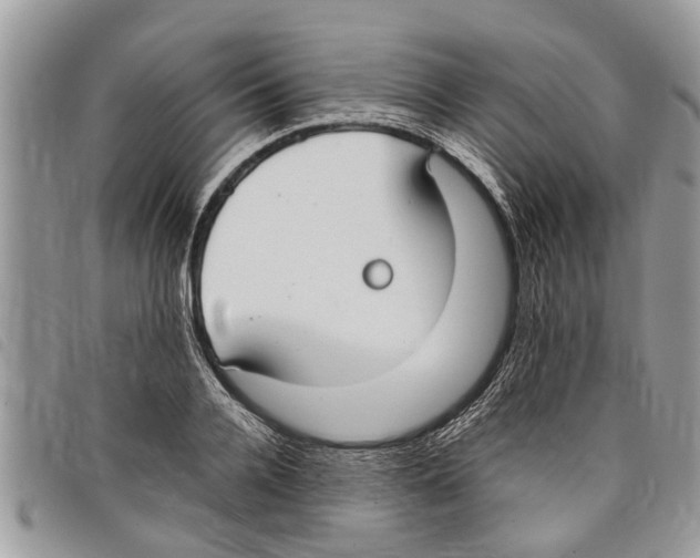 X0000097800936200804110920