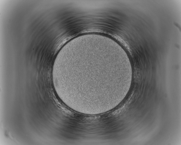 X0000097800937200804110920