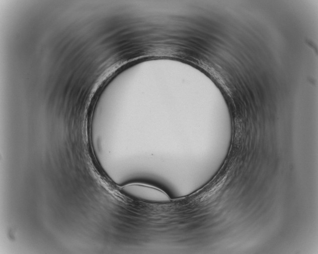 X0000097800939200804110920