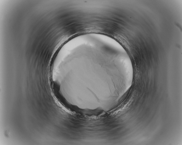 X0000097800941200804110920