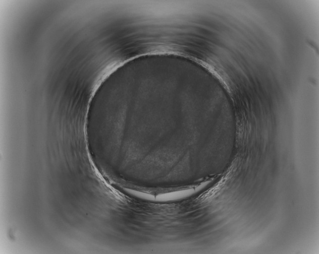 X0000097800943200804110920