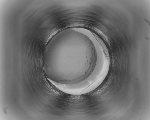 X0000097800945200804110920