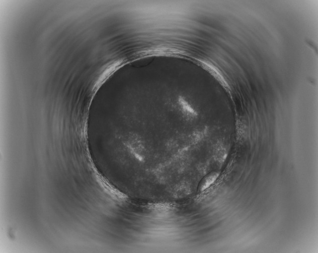 X0000097800946200804110920