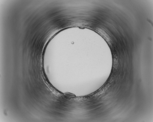 X0000097800948200804110920