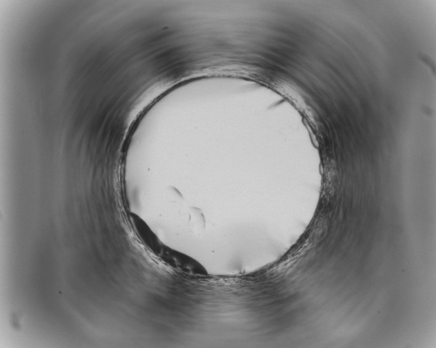 X0000097800952200804110920