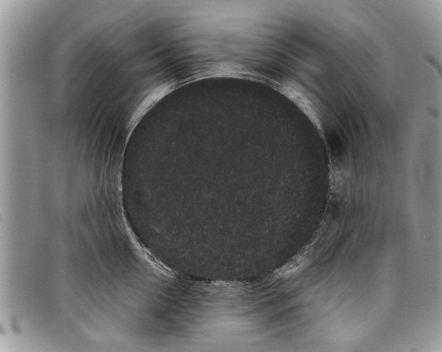 X0000097800954200804110920