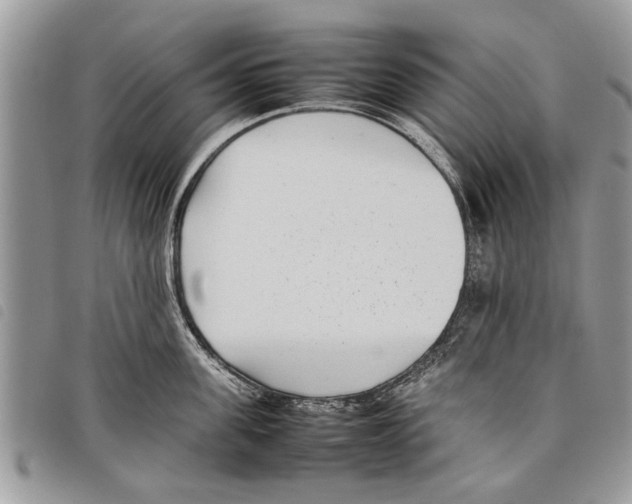 X0000097800955200804110920