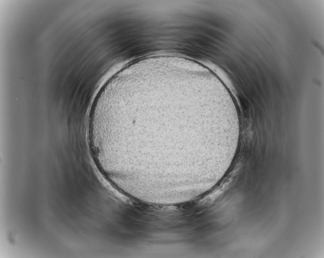 X0000097800957200804110920