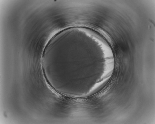 X0000097800958200804110920