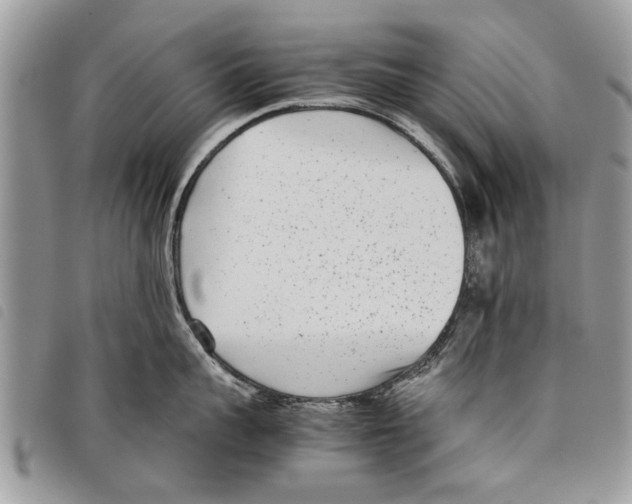 X0000097800959200804110920