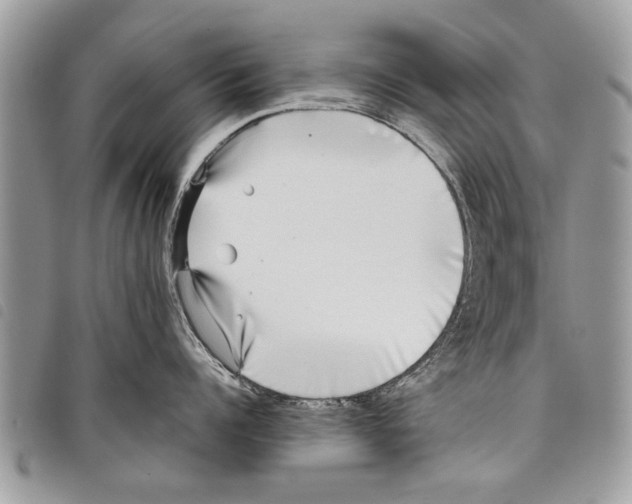 X0000097800960200804110921