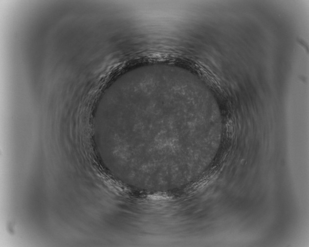 X0000097800961200804110920