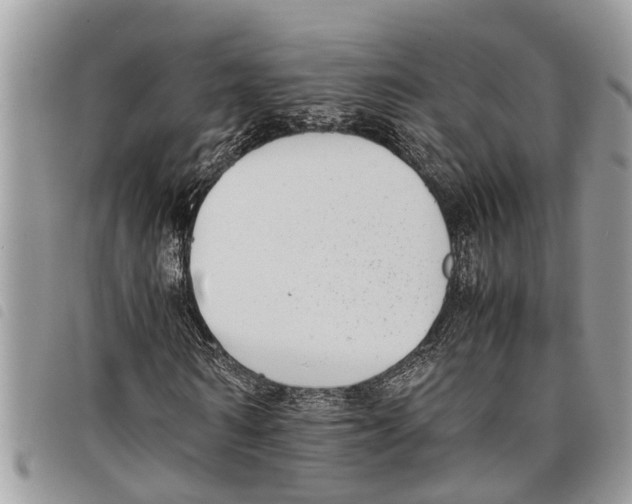 X0000097800962200804110920