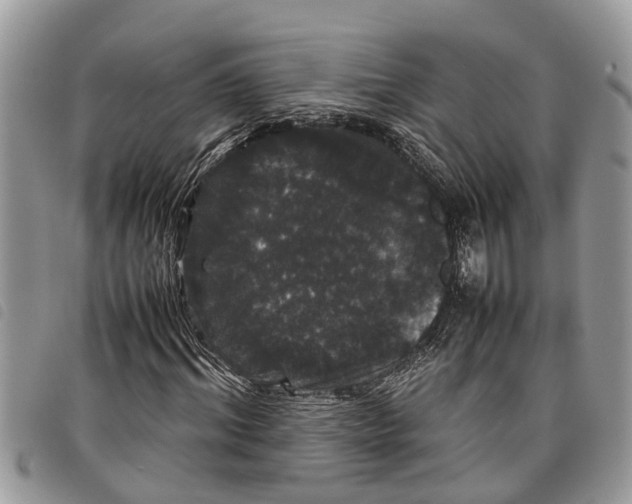 X0000097800964200804110920