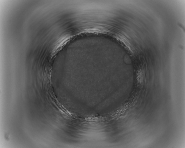 X0000097800968200804110920