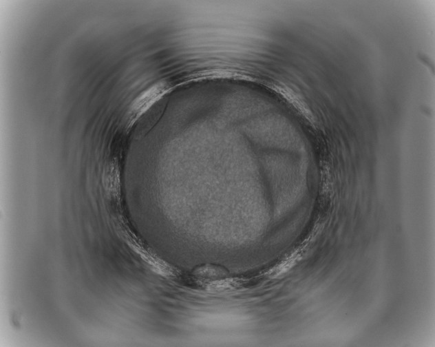 X0000097800969200804110920