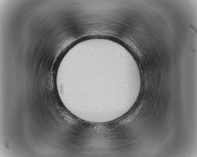 X0000097800974200804110919