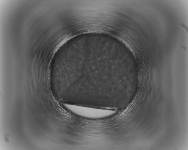 X0000097800975200804110919