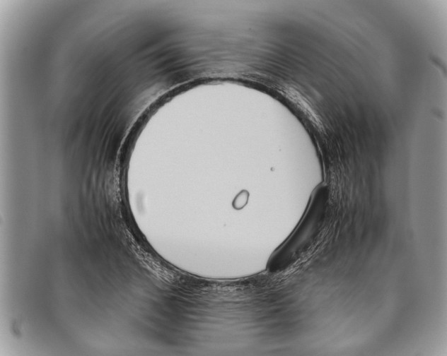 X0000097800976200804110919