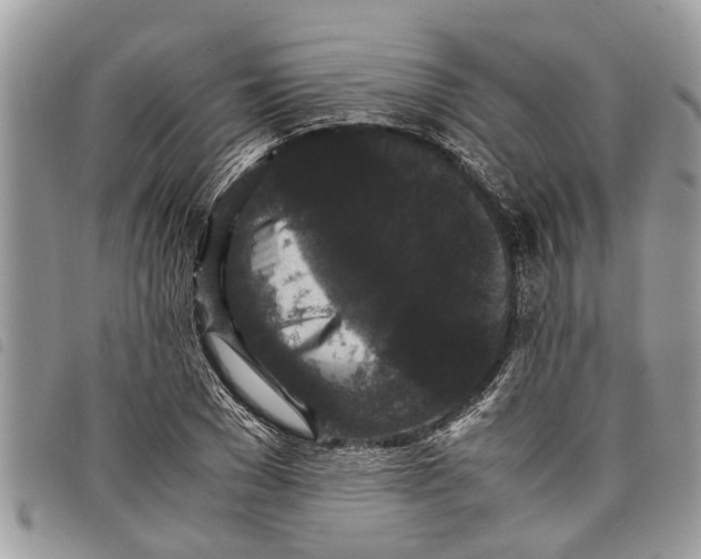 X0000097800977200804110919