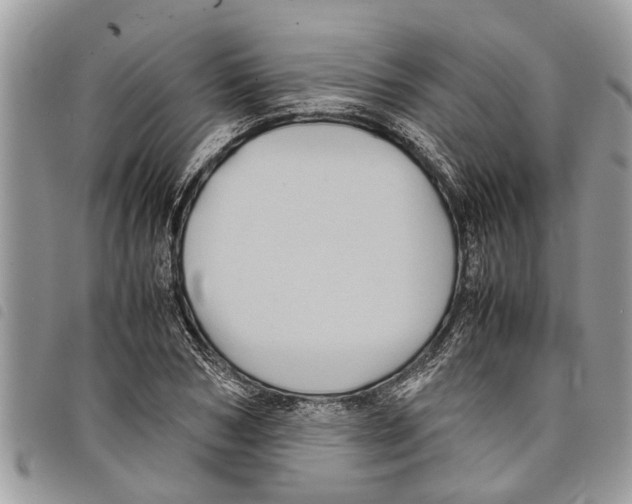 X0000097800978200804110919