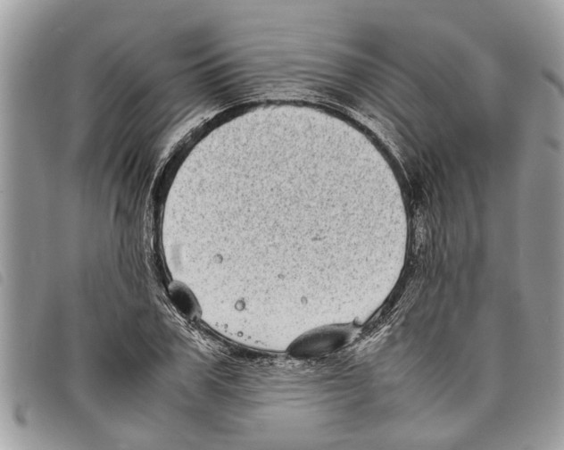 X0000097800979200804110919