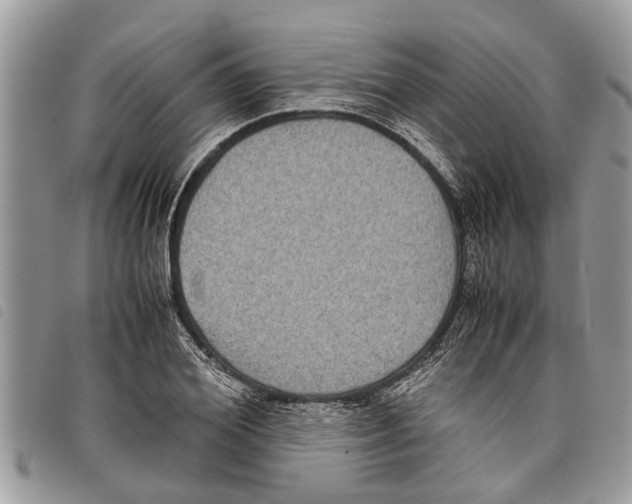 X0000097800980200804110919