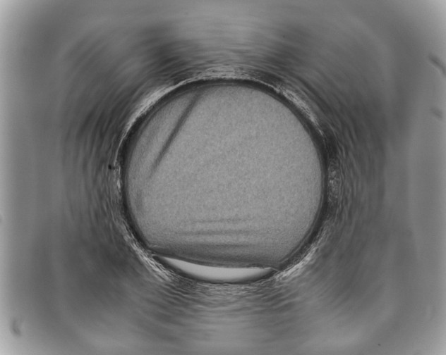 X0000097800981200804110919