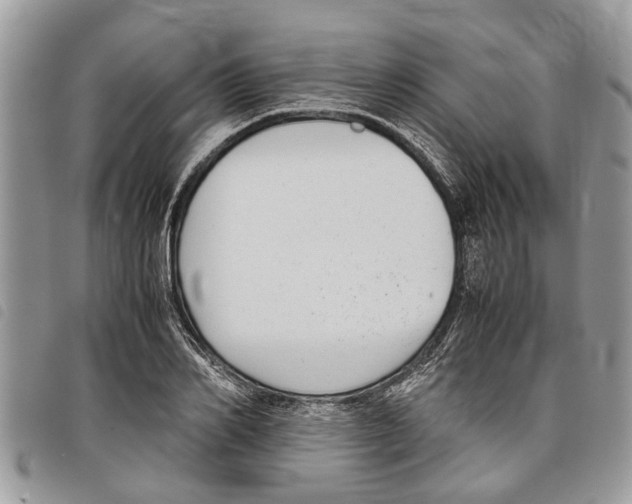 X0000097800982200804110919