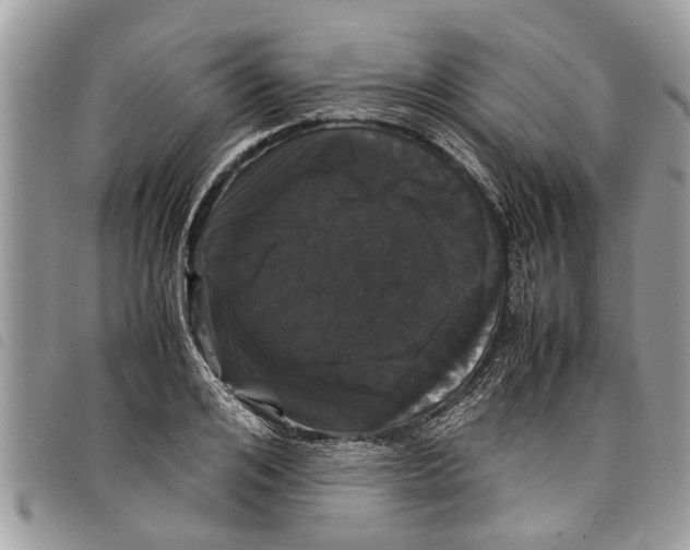 X0000097800984200804110919