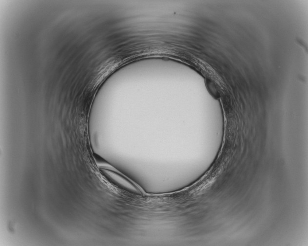 X0000097800985200804110919