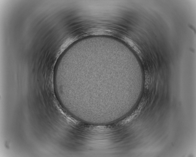 X0000097800986200804110919