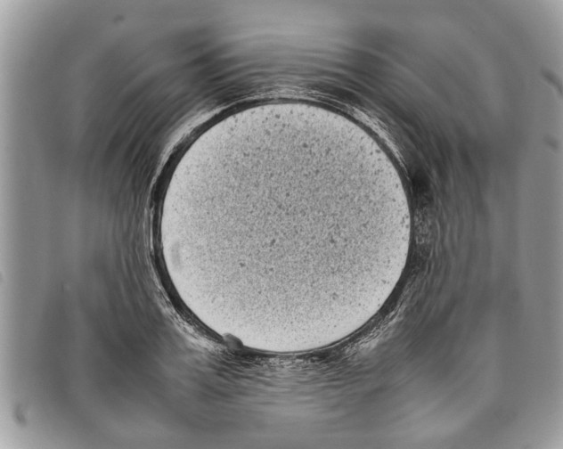 X0000097800987200804110919