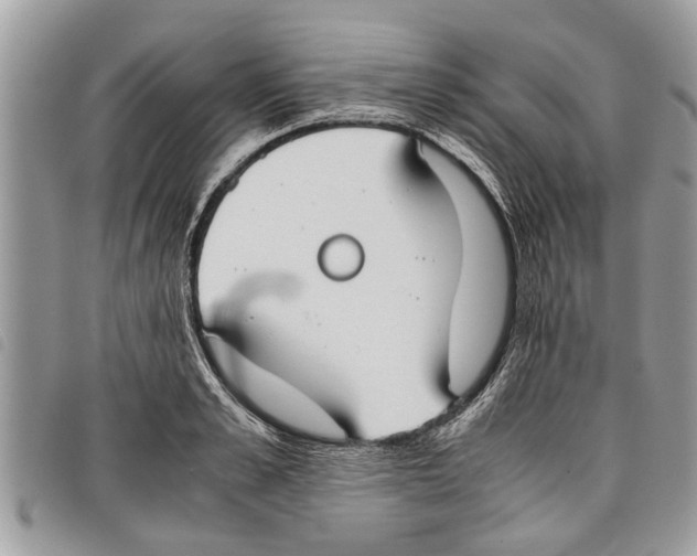 X0000097800989200804110919